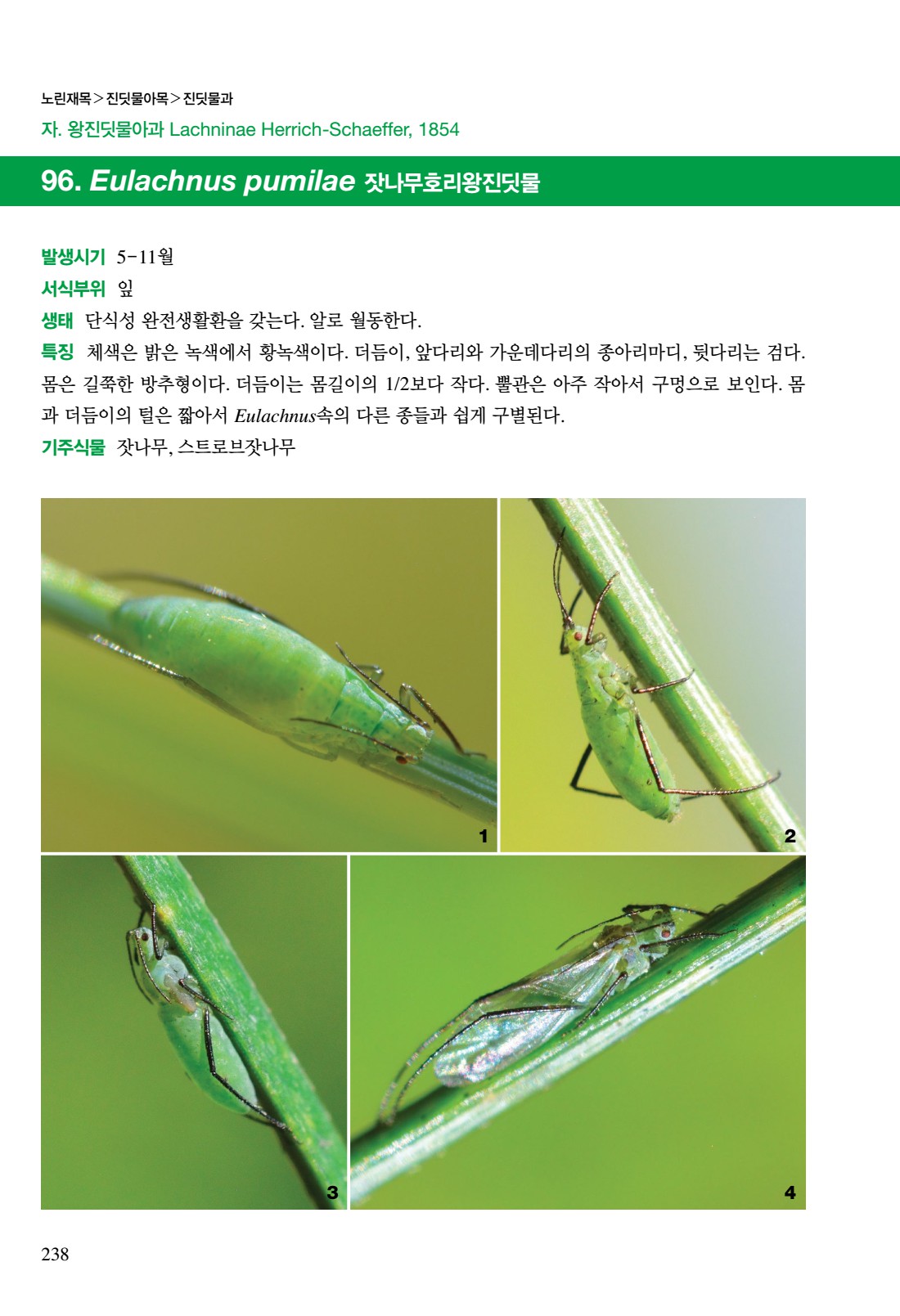 페이지