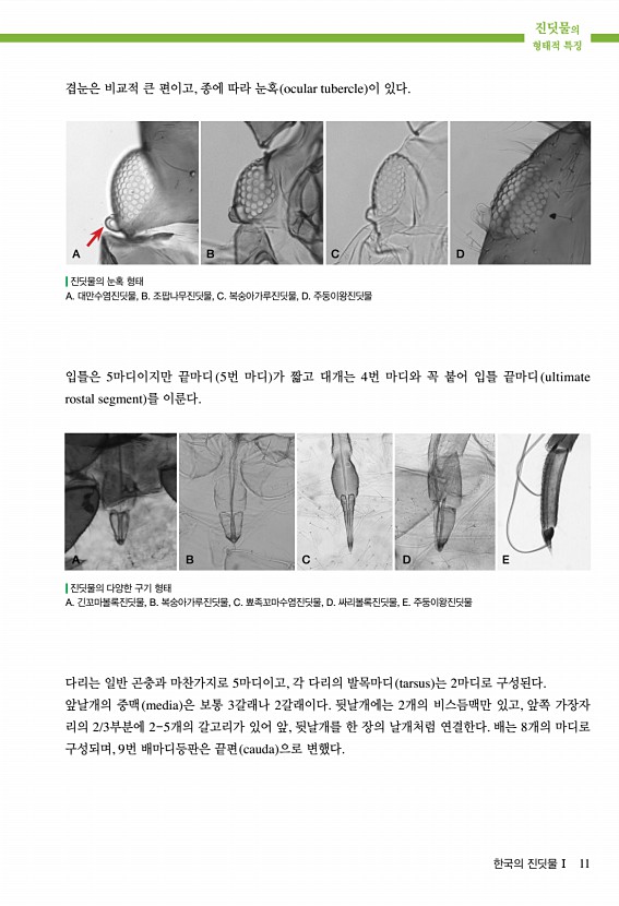 3페이지