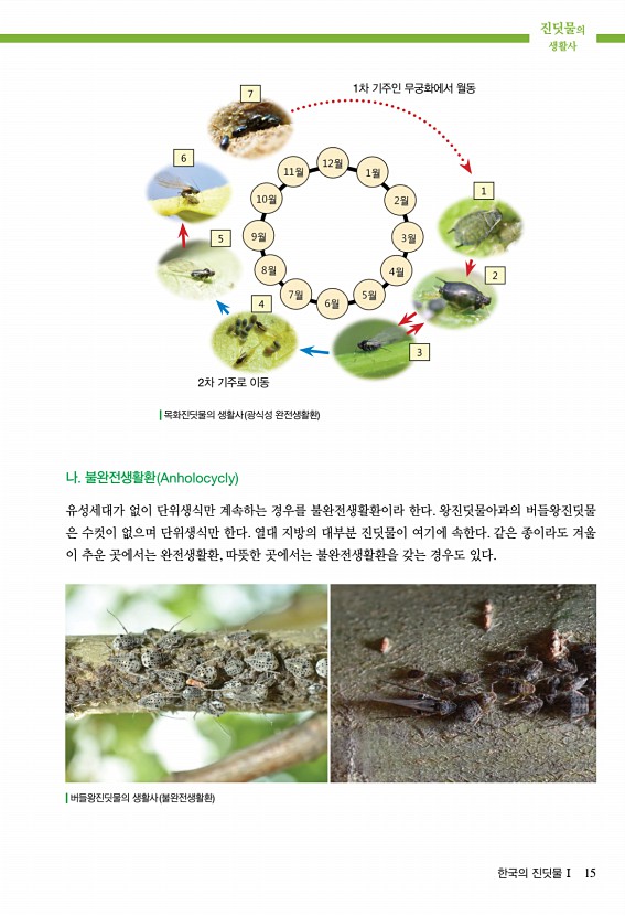 14페이지