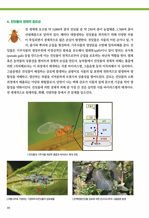 14페이지