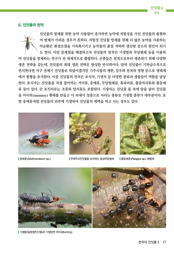 15페이지