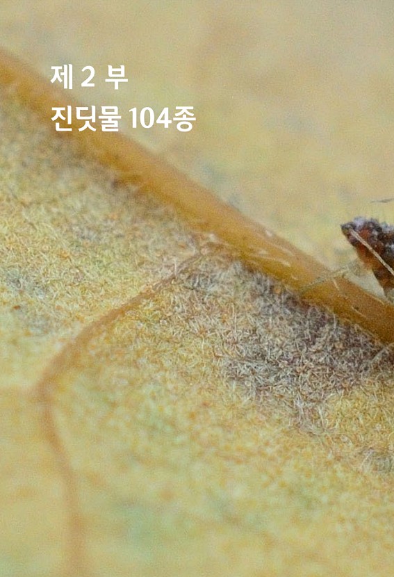 20페이지