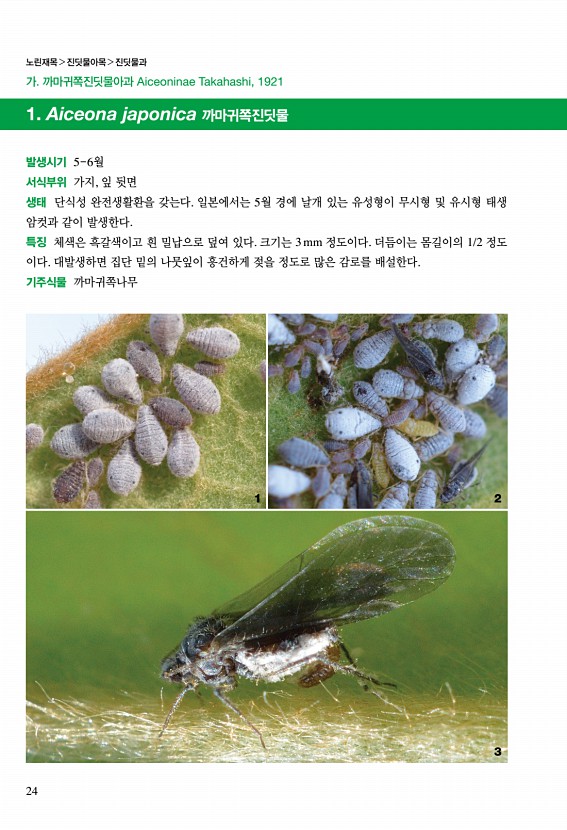 22페이지