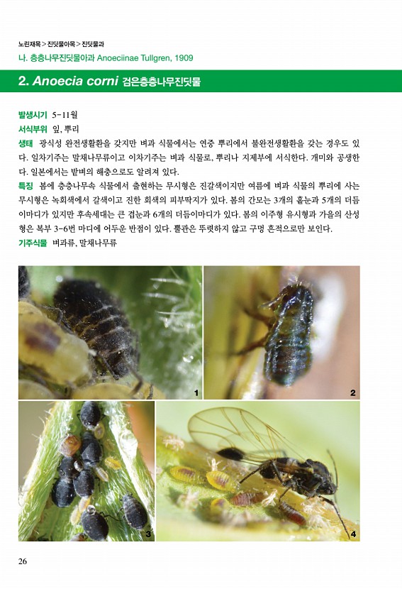 10페이지