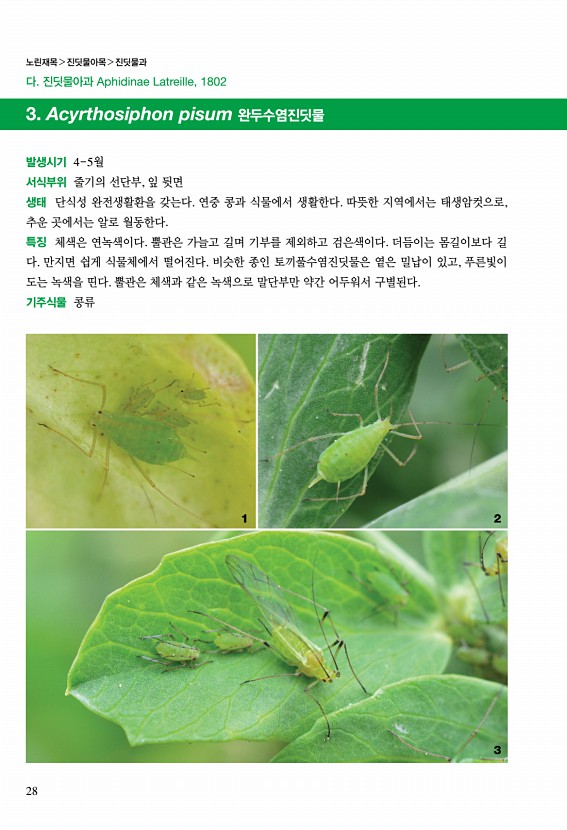 26페이지