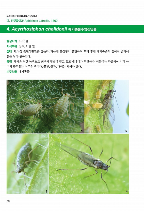 28페이지