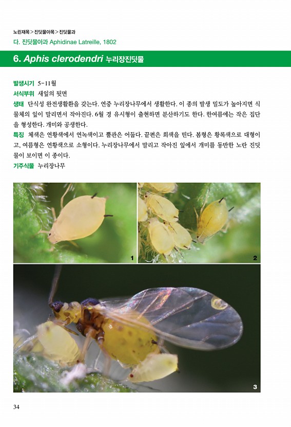 20페이지