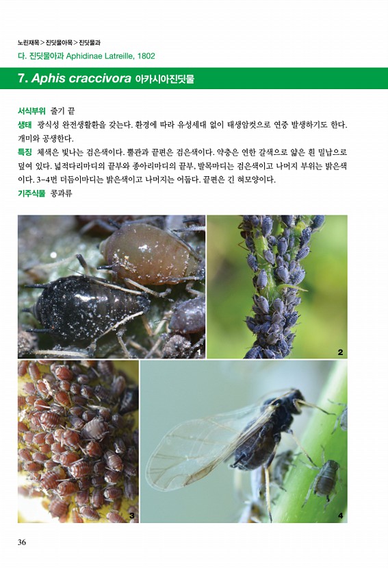 22페이지
