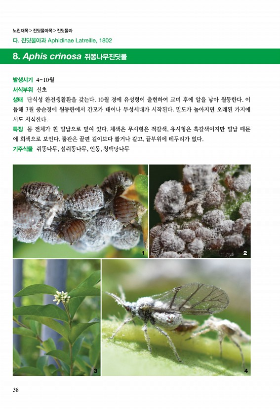 24페이지