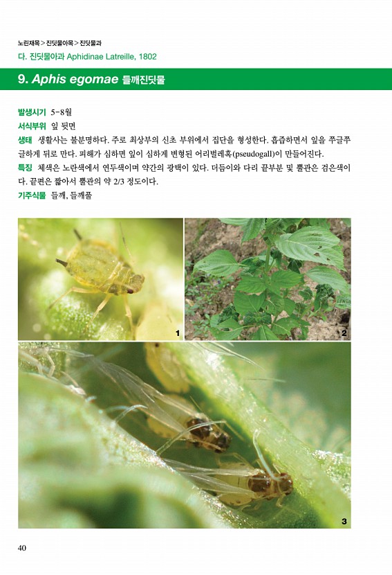 26페이지