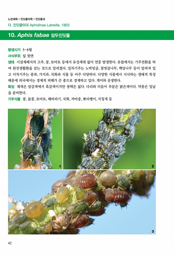 28페이지
