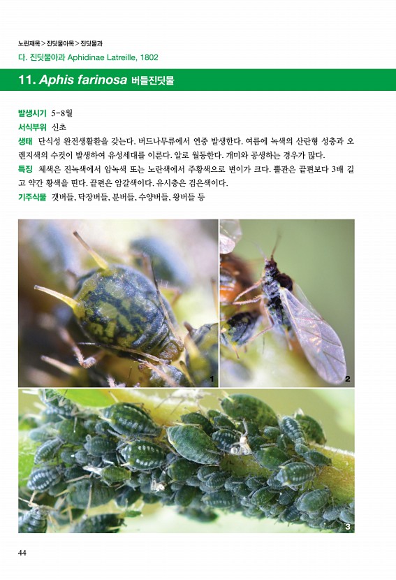 30페이지