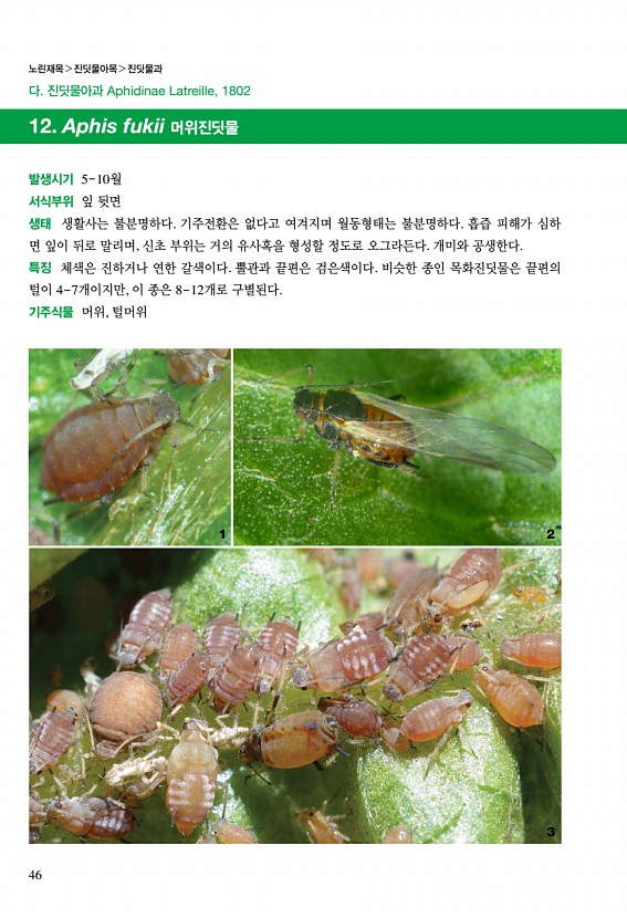 44페이지