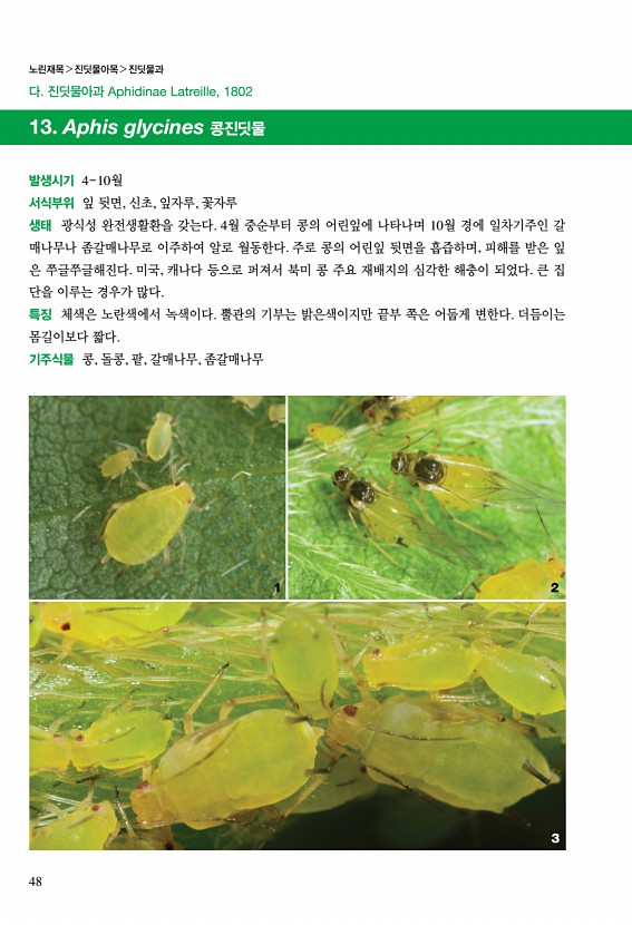 46페이지