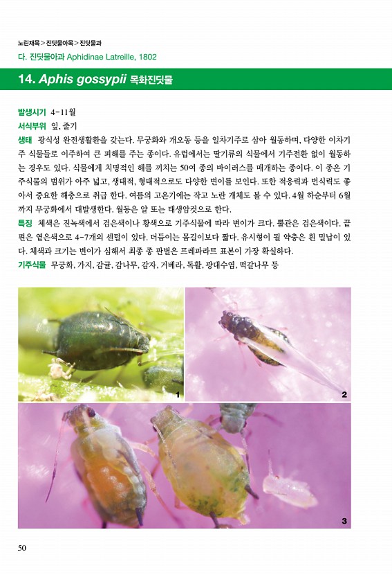 48페이지
