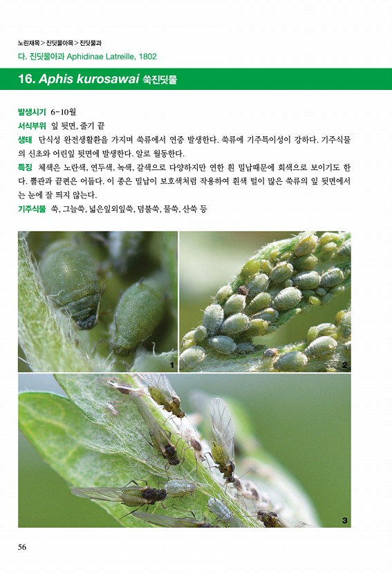 54페이지