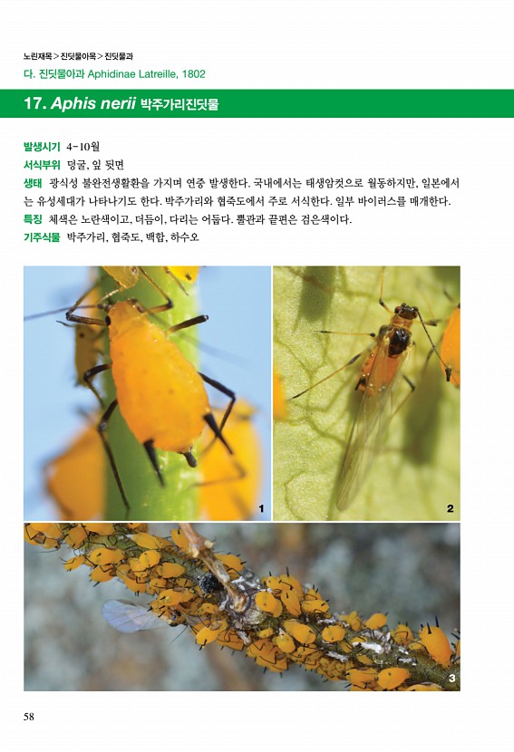 56페이지