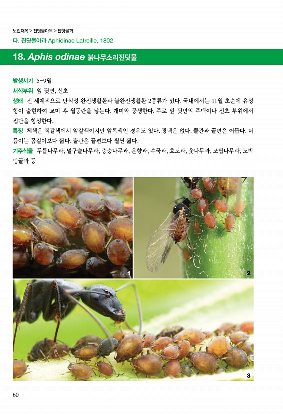 58페이지