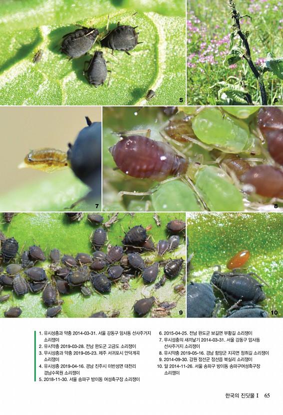 53페이지