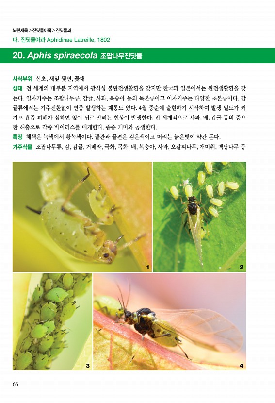 54페이지
