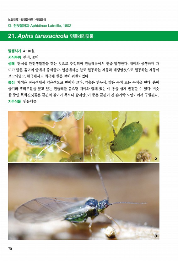 58페이지
