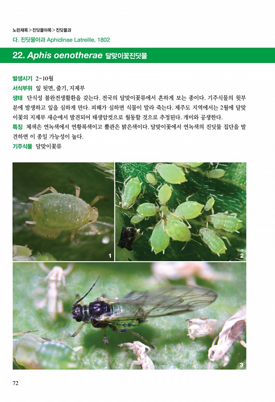 60페이지
