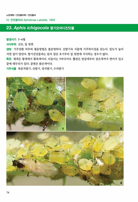 62페이지