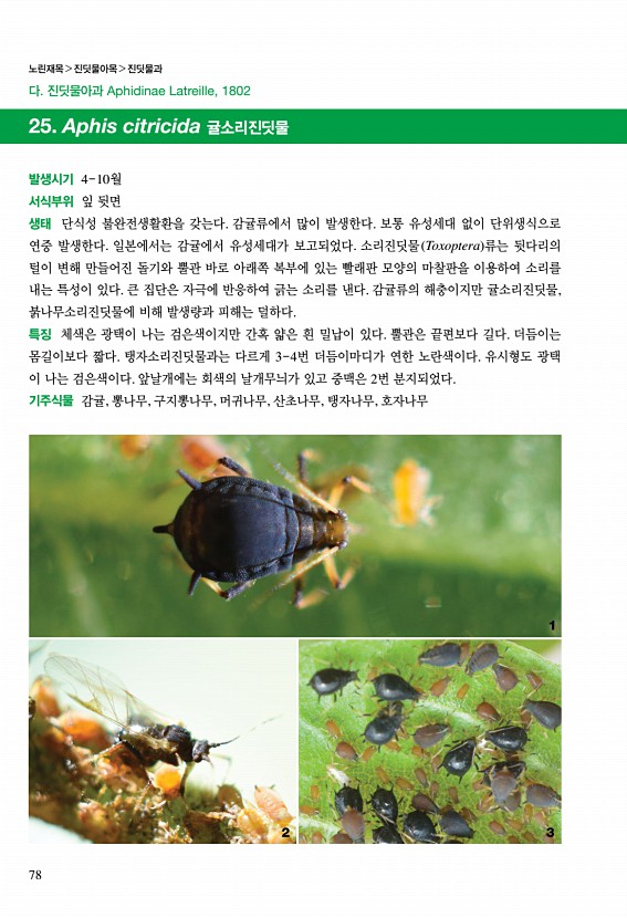 77페이지