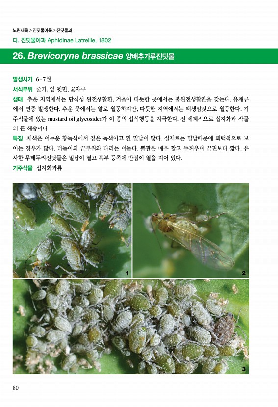 79페이지
