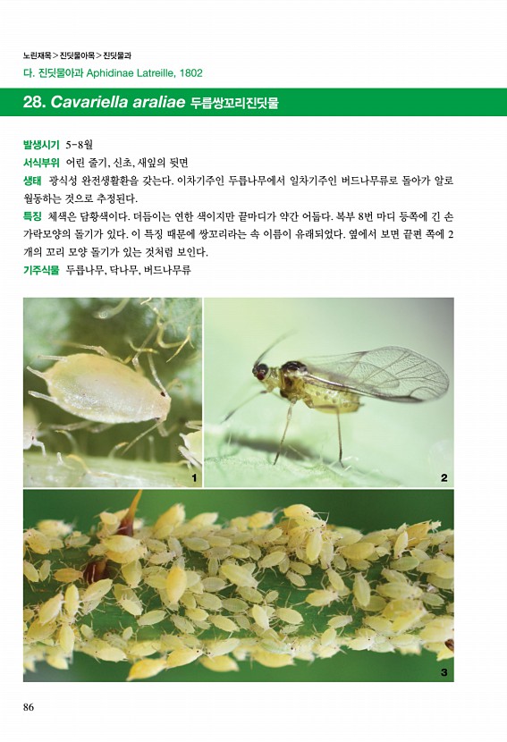 85페이지
