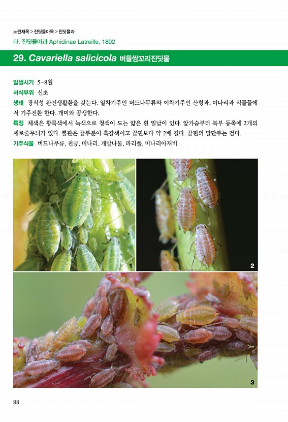 87페이지