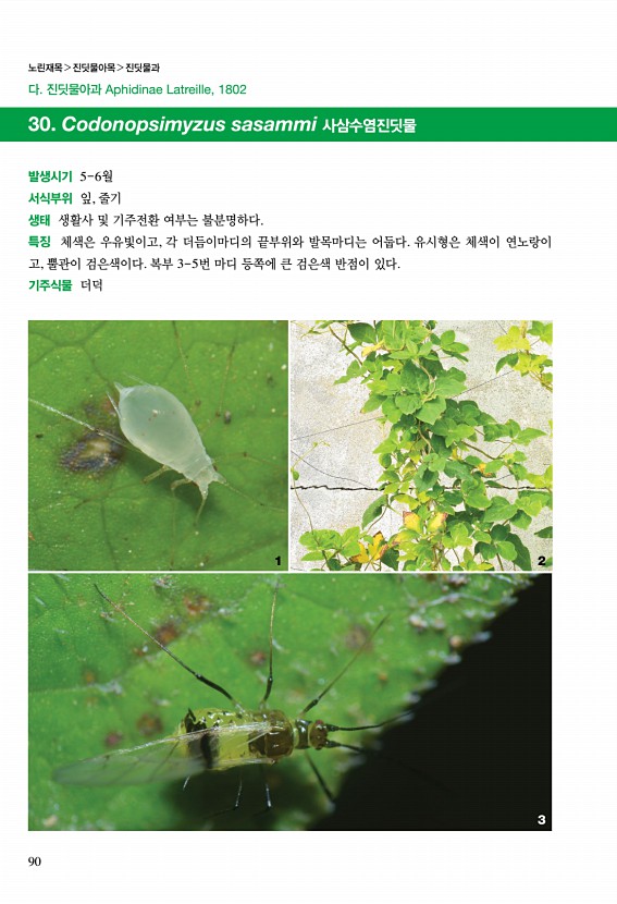 89페이지