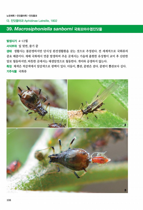 102페이지