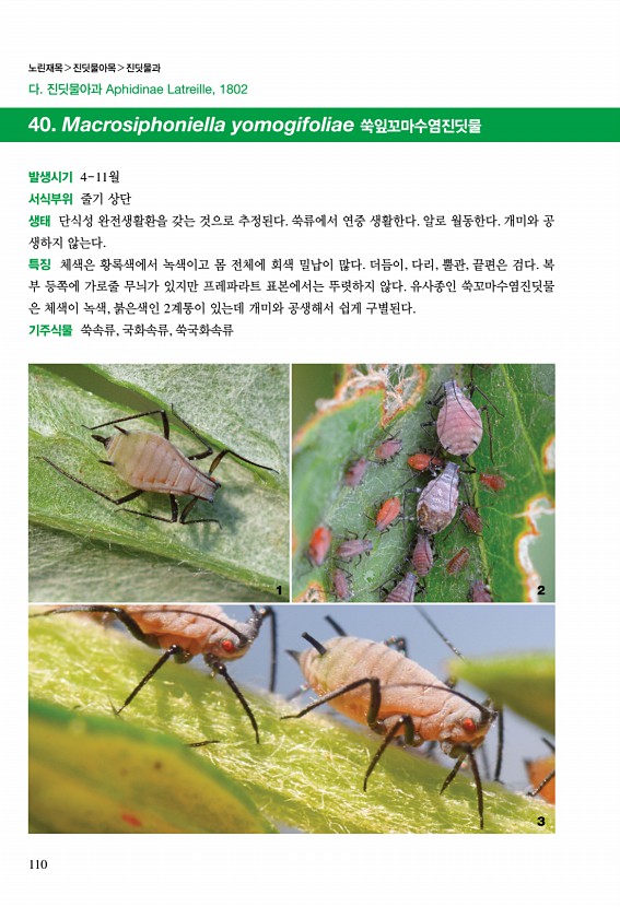 104페이지