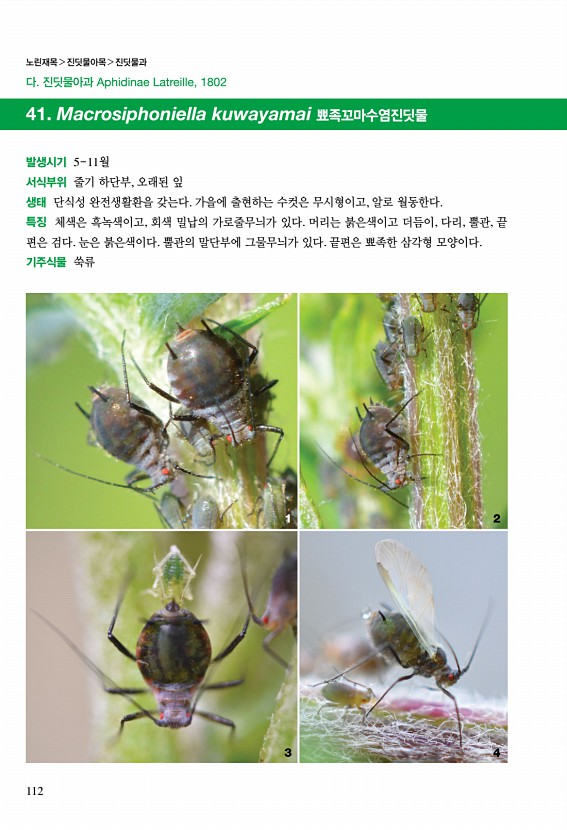 106페이지