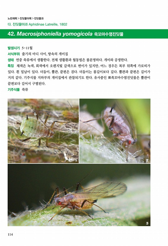 108페이지