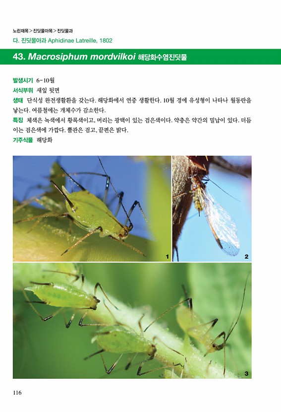 110페이지