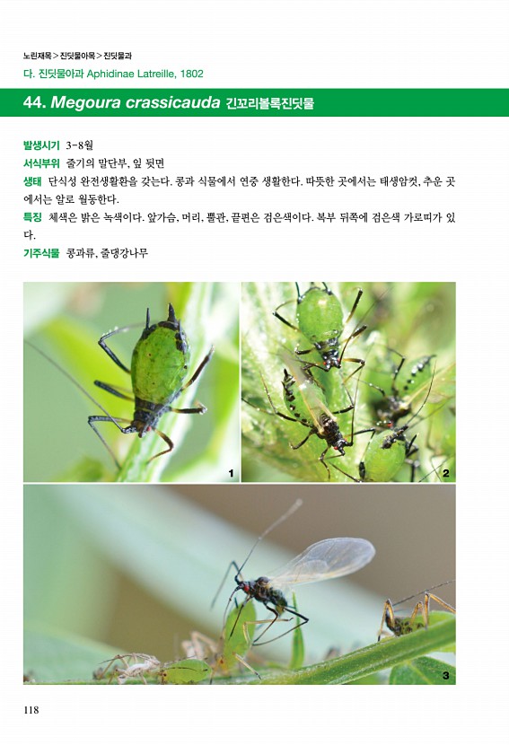 112페이지