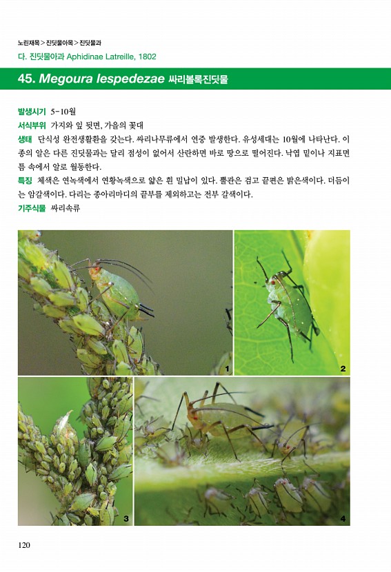 114페이지