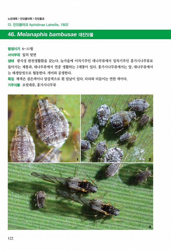 121페이지