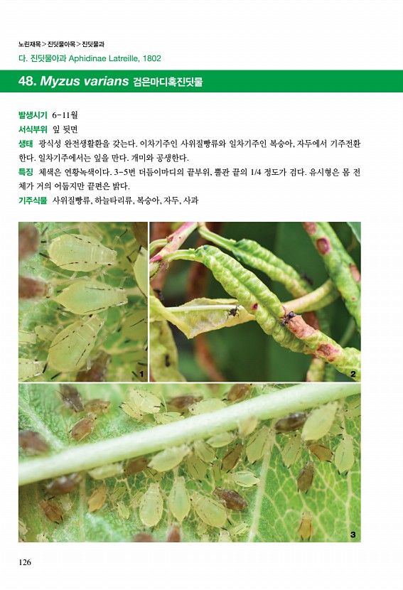 125페이지
