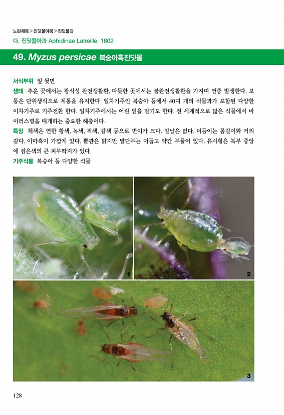 127페이지