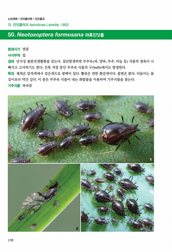 120페이지