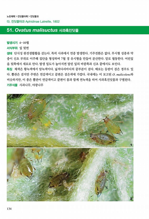 133페이지