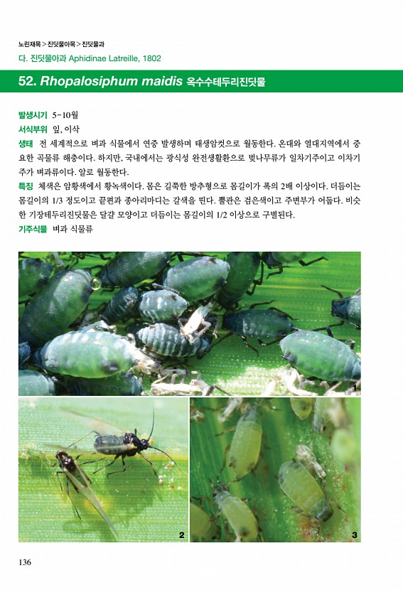 130페이지
