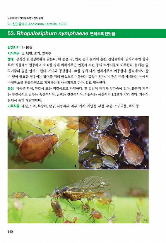 134페이지