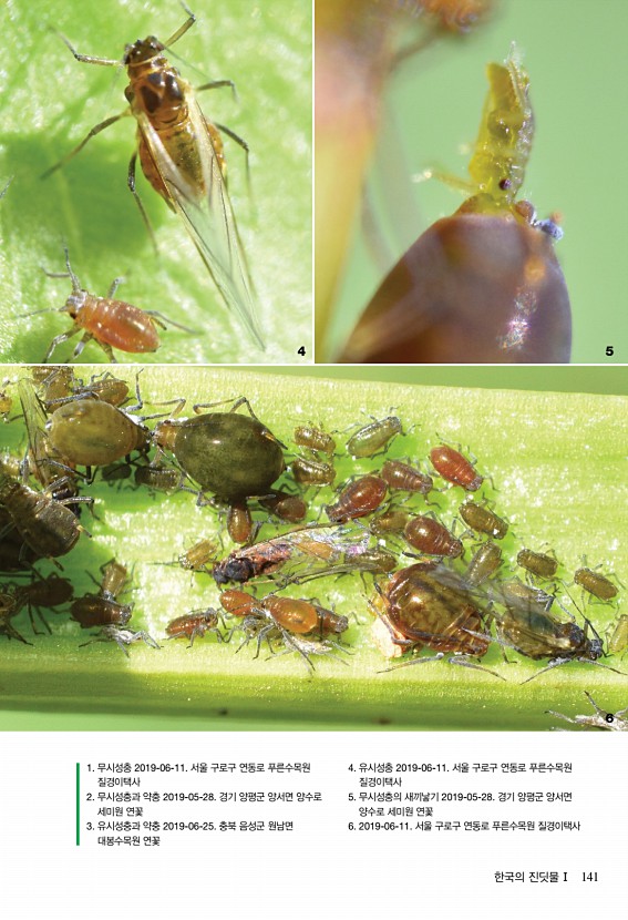 135페이지