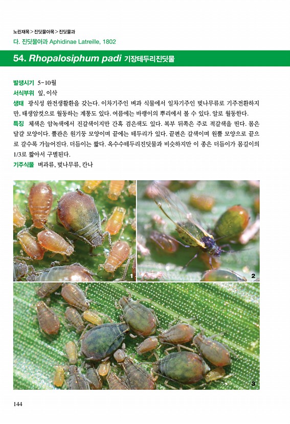138페이지