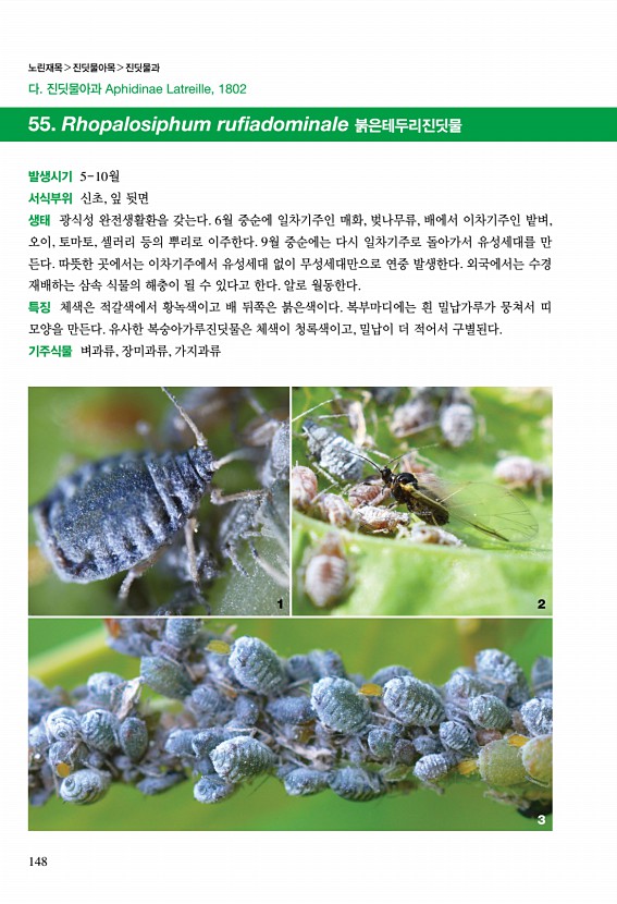 142페이지