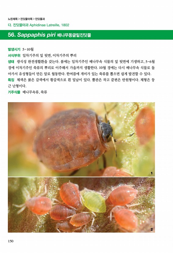 144페이지